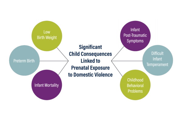 Prenatal Exposure to Domestic Violence
