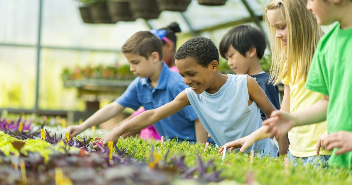 Using Agriculture to Teach STEAM in the Classroom